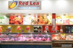 Red Lea鸡肉店进入自愿托管，数百人将失业