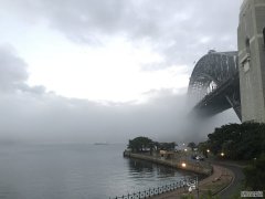 浓雾笼罩悉尼，导致航班延误和取消