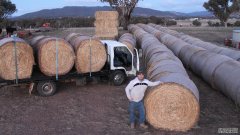 200刀一捆的草饲料卷成车地送给抗旱中的NSW中西