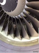 呆萌猫头鹰被发现藏身飞机发动机罩