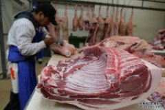 非洲猪瘟将推高澳洲圣诞节肉价