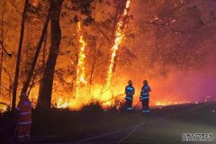 新州南部海岸地区山火失控，有房子被烧毁