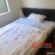 UNSW 附近house 整租或分租 假期特惠