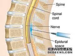 今天去了RPA参观，有点不明白。