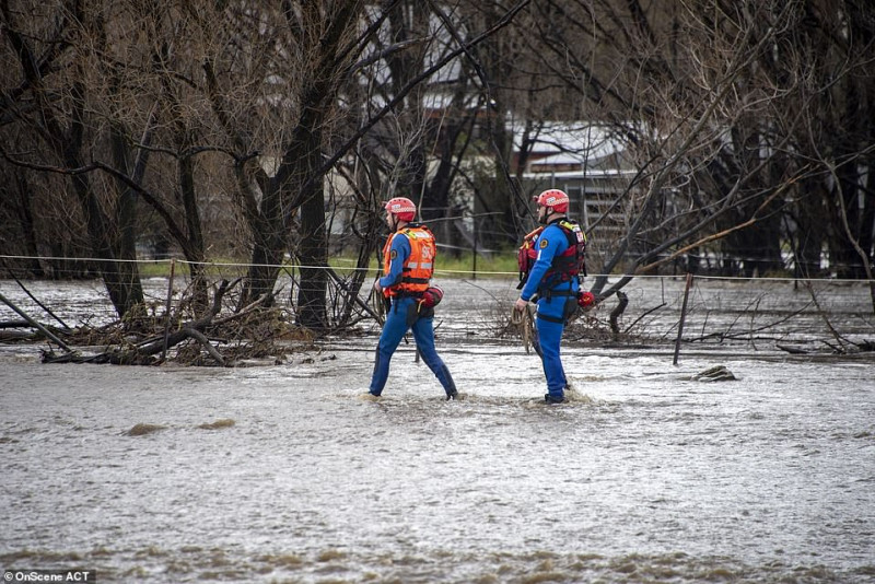 31742810-8610183-SES_workers_are_pictured_walking_through_flood_waters_after_torr-a-28_1597021593857.jpg,0