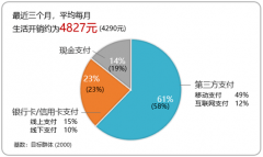 支付：蚂蚁的“软肋”