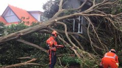 狂风暴雨袭击澳东海岸，墨尔本2000多户家庭断电