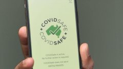 5百万元的COVIDSafe应用只找到了14个新冠病例