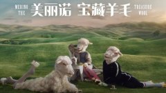 澳洲羊毛贸易越来越依赖中国 美丽诺姐妹带领推