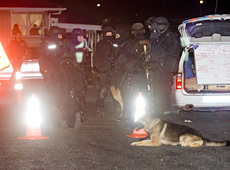 Armed police gather before storming the Othello Drive house. Photo / Dean Purcell