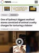 龙虾也有虾权！悉尼餐厅因虐杀龙虾被罚1500澳元