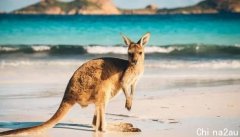收藏！澳洲人少景美的小众海岛！美到像天堂！