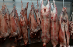 中国对进口肉类需求减少 澳羊肉价格预计保持高