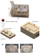 莫纳什大学研发新冠病毒检测掌中仪，半小时出