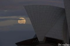 疫情后首次现场活动！悉尼天文台将为百名幸运