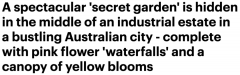 澳洲新晋ins风网红店引众人打卡！“秘密花园”