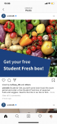 墨大发免费空降！留学生可领5kg蔬果补给盒子！