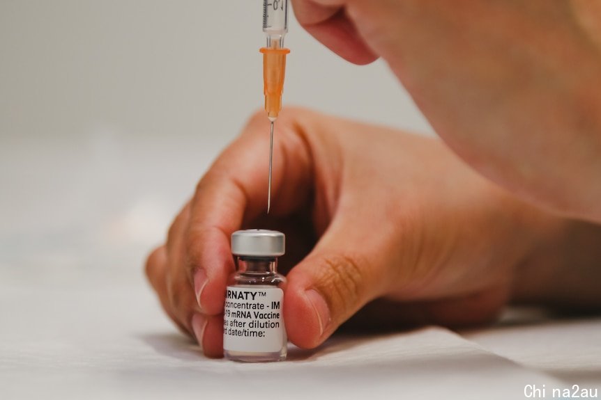 A close shot of a hand pressing a needle through the top of a vial of Pfizer vaccine.