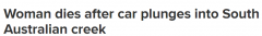 悲剧！澳洲汽车失控坠溪，一人不幸死亡（视频