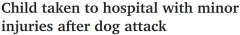 澳幼童遭犬袭击受伤送医，婴儿被宠物狗活活咬
