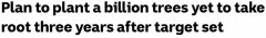 澳联邦政府承诺“10年内种10亿棵树”，如今1%都