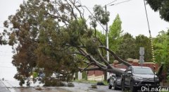 墨尔本遭狂风侵袭，数万户家庭停电！华人区火