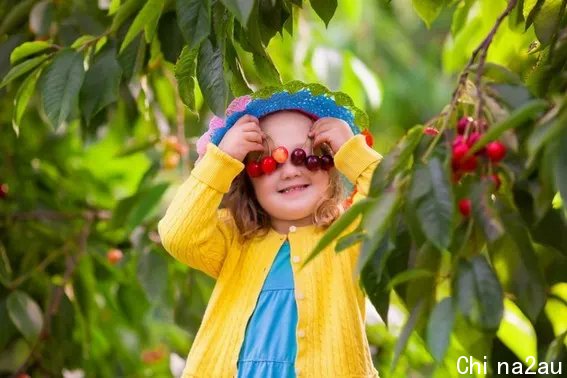 Cherry Farms: Tips and Tricks for Visiting with Young Kids