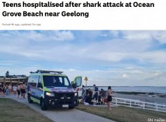 危险，2人Geelong周边下海游泳，却被鲨鱼袭击！鲜