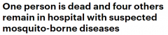 南澳1人死亡，4人住院，疑似与蚊媒疾病有关！卫