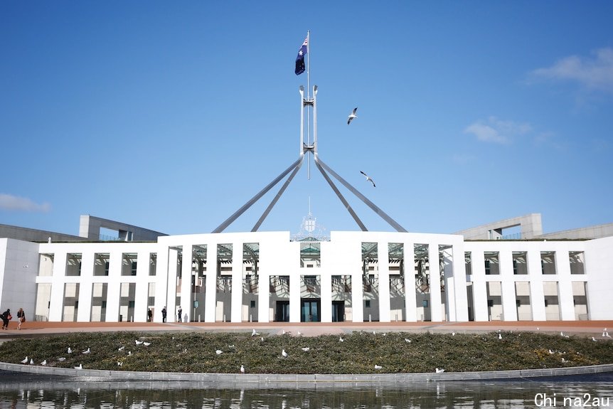 Birds fly out the front of Parliament House