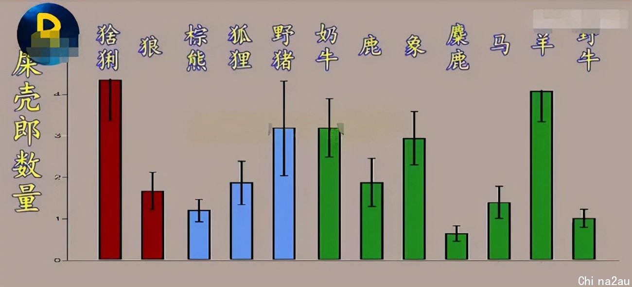 屎壳郎，拯救澳大利亚