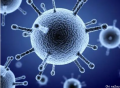 维州三年来首迎流感季！今年迄今已记录近千例感染病例
