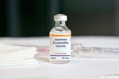 最新 | 澳洲推出日本脑炎疫苗！猪肉可以安全食用！不过冬季仍要防蚊！