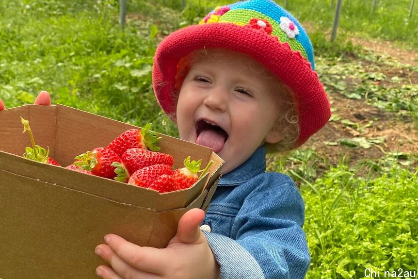 A young girl in a knitted beanie holds a box full of strawberries