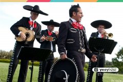 悉尼Willoughby Council邀请您前来享受墨西哥流行音乐，活动免费