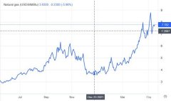 打肿脸充胖子？美国天然气价格翻倍，本土企业怨声载道