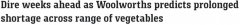 Woolies超市警告：番茄、西葫芦等至少10种热卖蔬菜短缺，未来数周恐无供应（组图）