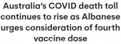 澳洲新冠死亡超1.02万人！艾博年：疫情尚未结束，30岁及以上明日开打第四针（图）