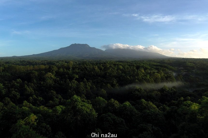 空中拍摄的密林延伸到地平线。一座山挺立在地平线上。