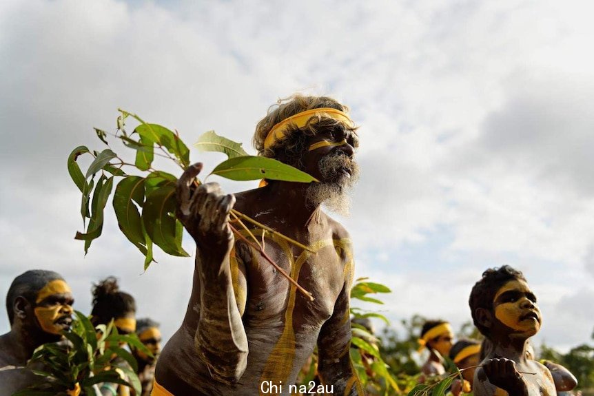 Indigenous dancer holding gum leaves and wearing yellow body paint.