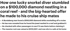 澳男潜水发现闪光石头，捡起一看高兴坏了！竟价值$10万（视频/组图）
