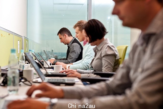 Employees working on laptops in an office.