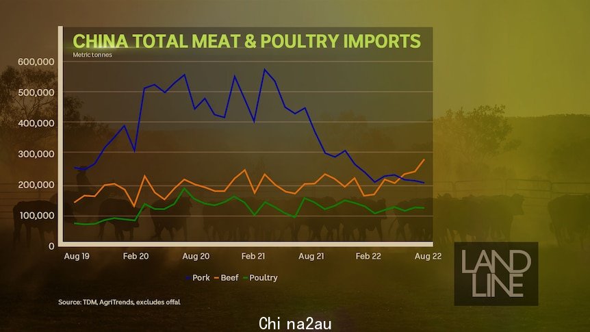 中国牛肉进口量超过猪肉。