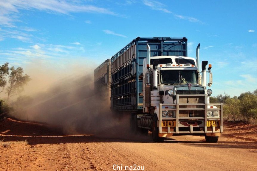 A blue road train drives along a red dirt road.