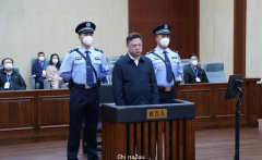 中国公安部原副部长孙力军一审判死缓，终身监禁不得减刑假释，曾留学澳洲（图）