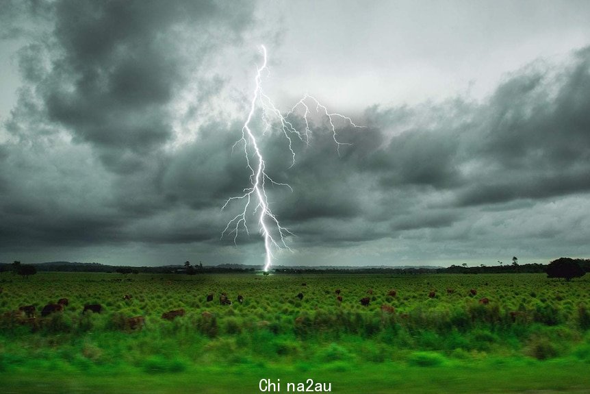 Lightning strike during storm at Caloundra in hinterland on Queensland's Sunshine Coast on afternoon of November 7, 2017.