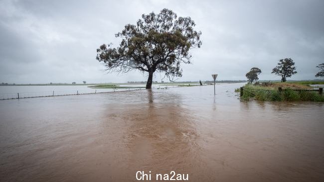 Rochester、Seymour 和 Carisbrook 的居民都被要求立即撤离。图片：Jason Edwards