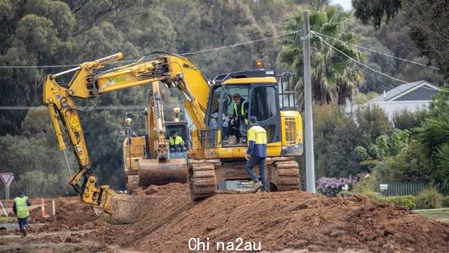 Echuca 为即将到来的洪水做准备，当局正在建造一个 2.5k 的泥土米泥堤。图片：NCA/Newswire/Jason Edwards