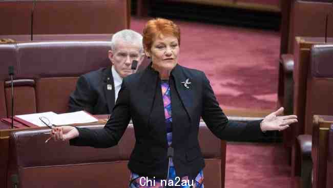 参议员 Pauline Hanson 据称在过去两个月收到了死亡威胁。图片：NCA NewsWire / Gary Ramage