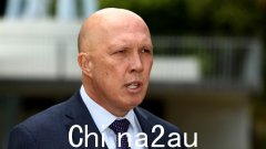 自由党领袖彼得·达顿（Peter Dutton）声称阿尔巴尼亚政府正在与国家安全“玩弄政治”，而不是伊斯兰国新娘